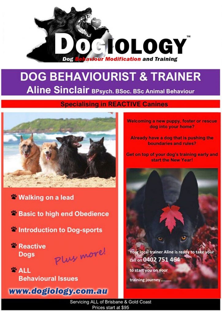 Dogiology | Dog Behaviour Modification and Training Brisbane & Gold Coast